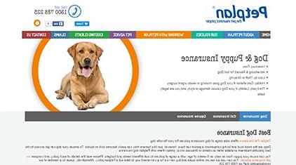 Software Development Portfolio - Petplan